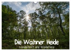 Die Wahner Heide – Landschaft und Weidetiere (Wandkalender 2024 DIN A3 quer), CALVENDO Monatskalender von Peeh,  Doro