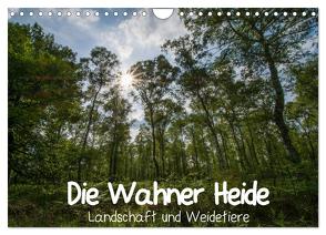 Die Wahner Heide – Landschaft und Weidetiere (Wandkalender 2024 DIN A4 quer), CALVENDO Monatskalender von Peeh,  Doro