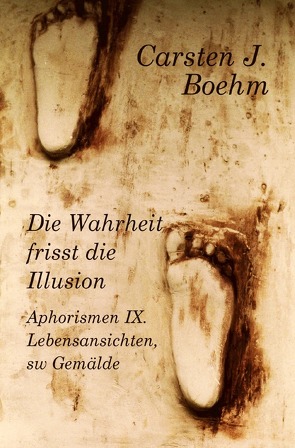 Die Wahrheit frisst die Illusion von Boehm,  Carsten J.
