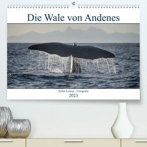Die Wale von Andenes (Premium, hochwertiger DIN A2 Wandkalender 2023, Kunstdruck in Hochglanz) von Leimer,  Stefan