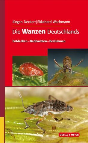 Die Wanzen Deutschlands von Deckert,  Jürgen, Wachmann,  Ekkehard