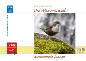 Die Wasseramsel – der tauchende Singvogel von Bosch,  Stefan, Lurz,  Peter W. W.