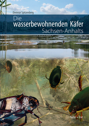Die wasserbewohnenden Käfer Sachsen-Anhalts von Klausnitzer,  Bernhard, Malchau,  Werner, Schöne,  Andreas, Spitzenberg,  Dietmar