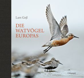 Die Watvögel Europas von Gejl,  Lars, Nutto,  Kirsten, Wiese,  Martina