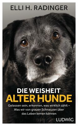 Die Weisheit alter Hunde von Radinger,  Elli H.