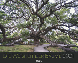 Die Weisheit der Bäume 2021