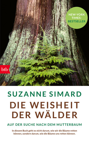 Die Weisheit der Wälder von Allie,  Manfred, Kempf-Allié,  Gabriele, Simard,  Suzanne