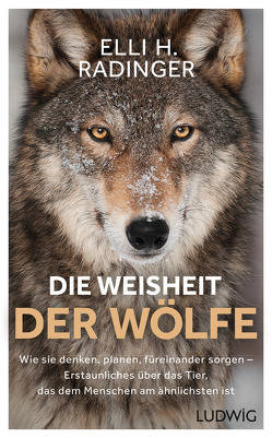 Die Weisheit der Wölfe von Radinger,  Elli H.