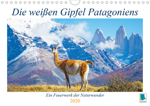 Die weißen Gipfel Patagoniens (Wandkalender 2020 DIN A4 quer) von CALVENDO