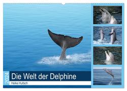 Die Welt der Delphine (Wandkalender 2024 DIN A2 quer), CALVENDO Monatskalender von Hultsch,  Heike