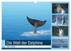 Die Welt der Delphine (Wandkalender 2024 DIN A3 quer), CALVENDO Monatskalender von Hultsch,  Heike