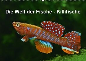 Die Welt der Fische – KillifischeCH-Version (Wandkalender 2018 DIN A2 quer) von Pohlmann,  Rudolf