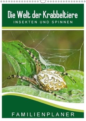 Die Welt der Krabbeltiere: Insekten und Spinnen / Familienplaner (Wandkalender 2018 DIN A3 hoch) von Althaus,  Karl-Hermann