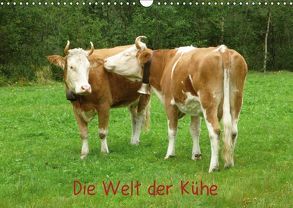 Die Welt der Kühe (Wandkalender 2019 DIN A3 quer) von kattobello