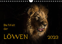 Die Welt der Löwen (Wandkalender 2023 DIN A4 quer) von Bethke,  Barbara