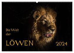 Die Welt der Löwen (Wandkalender 2024 DIN A2 quer), CALVENDO Monatskalender von Bethke,  Barbara