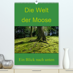 Die Welt der Moose. Ein Blick nach unten (Premium, hochwertiger DIN A2 Wandkalender 2021, Kunstdruck in Hochglanz) von Lewald,  Dominik