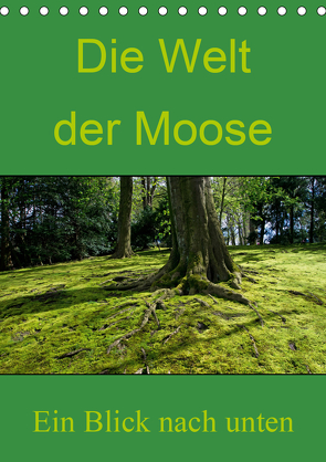 Die Welt der Moose. Ein Blick nach unten (Tischkalender 2021 DIN A5 hoch) von Lewald,  Dominik