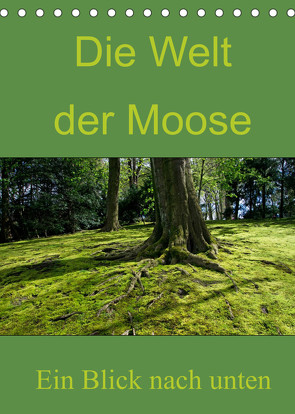 Die Welt der Moose. Ein Blick nach unten (Tischkalender 2022 DIN A5 hoch) von Lewald,  Dominik