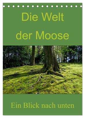 Die Welt der Moose. Ein Blick nach unten (Tischkalender 2024 DIN A5 hoch), CALVENDO Monatskalender von Lewald,  Dominik