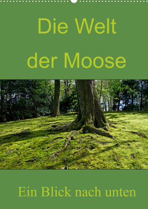 Die Welt der Moose. Ein Blick nach unten (Wandkalender 2022 DIN A2 hoch) von Lewald,  Dominik