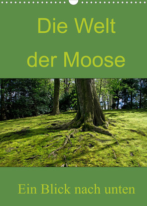 Die Welt der Moose. Ein Blick nach unten (Wandkalender 2022 DIN A3 hoch) von Lewald,  Dominik