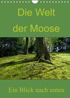 Die Welt der Moose. Ein Blick nach unten (Wandkalender 2022 DIN A4 hoch) von Lewald,  Dominik