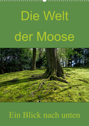 Die Welt der Moose. Ein Blick nach unten (Wandkalender 2023 DIN A2 hoch) von Lewald,  Dominik