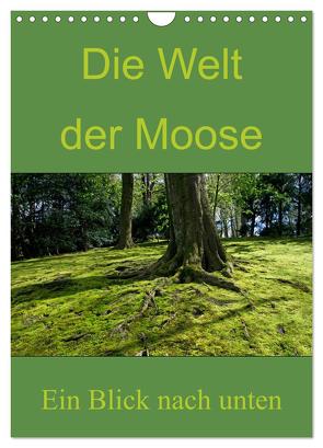 Die Welt der Moose. Ein Blick nach unten (Wandkalender 2024 DIN A4 hoch), CALVENDO Monatskalender von Lewald,  Dominik