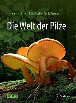 Die Welt der Pilze von Dörfelt,  Heinrich, Kästner,  Arndt, Ruske,  Erika