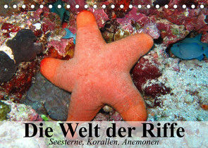 Die Welt der Riffe. Seesterne, Korallen, Anemonen (Tischkalender 2023 DIN A5 quer) von Stanzer,  Elisabeth
