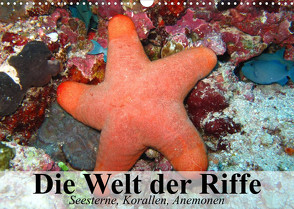 Die Welt der Riffe. Seesterne, Korallen, Anemonen (Wandkalender 2023 DIN A3 quer) von Stanzer,  Elisabeth