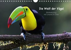 Die Welt der Vögel – Birdwatching mit Ursula Di Chito (Wandkalender 2018 DIN A4 quer) von Di Chito,  Ursula