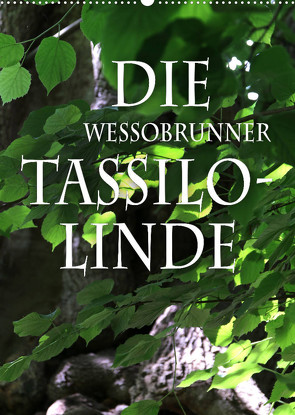 Die Wessobrunner Tassilolinde (Wandkalender 2023 DIN A2 hoch) von N.,  N.