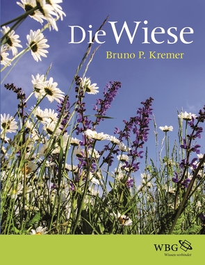 Die Wiese von Kremer,  Bruno P.