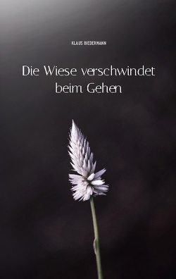 Die Wiese verschwindet beim Gehen von Biedermann,  Klaus