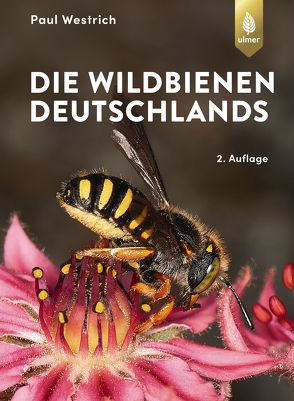 Die Wildbienen Deutschlands von Westrich,  Paul