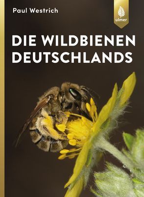 Die Wildbienen Deutschlands von Westrich,  Paul