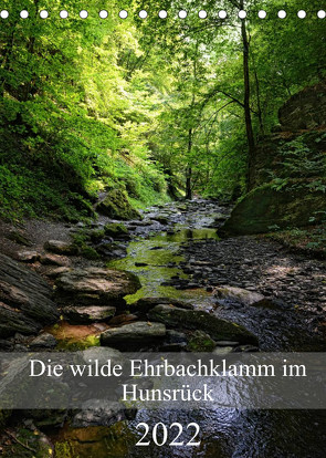 Die wilde Ehrbachklamm im Hunsrück (Tischkalender 2022 DIN A5 hoch) von Frost,  Anja