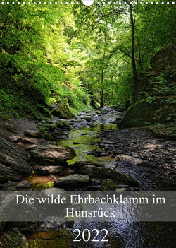 Die wilde Ehrbachklamm im Hunsrück (Wandkalender 2022 DIN A3 hoch) von Frost,  Anja