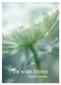 Die wilde Möhre (Wandkalender 2024 DIN A3 hoch), CALVENDO Monatskalender von Biewer,  Beatrice