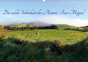 Die wilde Schönheit der Azoren – Sao Miguel (Wandkalender 2021 DIN A2 quer) von Albilt,  Rabea