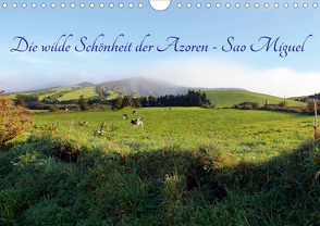 Die wilde Schönheit der Azoren – Sao Miguel (Wandkalender 2021 DIN A4 quer) von Albilt,  Rabea