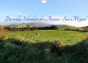 Die wilde Schönheit der Azoren – Sao Miguel (Wandkalender 2022 DIN A4 quer) von Albilt,  Rabea