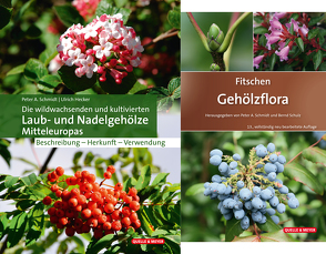 Die wildwachsenden und kultivierten Laub- und Nadelgehölze Mitteleuropas + Fitschen – Gehölzflora 13. Auflage von Quelle & Meyer Verlag