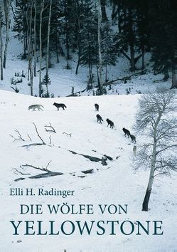 Die Wölfe von Yellowstone von Radinger,  Elli H.