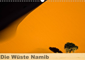 Die Wüste Namib (Wandkalender 2023 DIN A3 quer) von Krebs,  Thomas