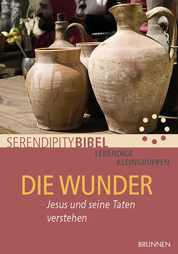 Die Wunder von Grundmüller,  Frank, Serendipity bibel