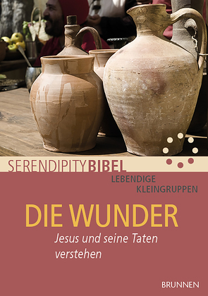 Die Wunder von Serendipity bibel