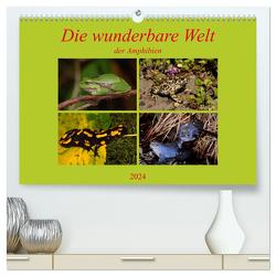 Die wunderbare Welt der Amphibien (hochwertiger Premium Wandkalender 2024 DIN A2 quer), Kunstdruck in Hochglanz von Erlwein,  Winfried